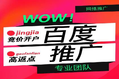 SEM投放策略：成功案例解析